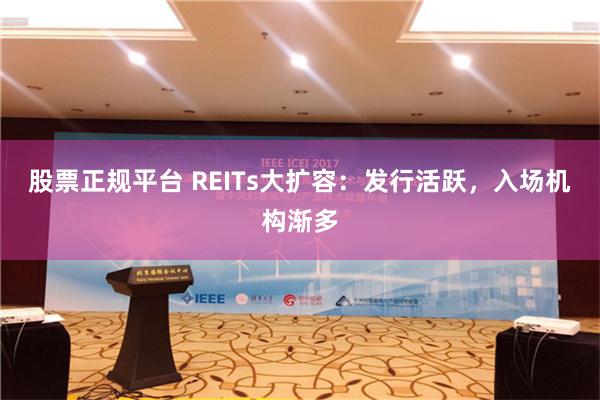 股票正规平台 REITs大扩容：发行活跃，入场机构渐多