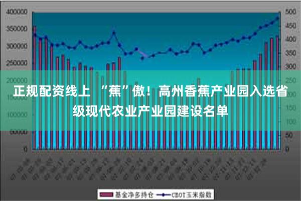 正规配资线上  “蕉”傲！高州香蕉产业园入选省级现代农业产业