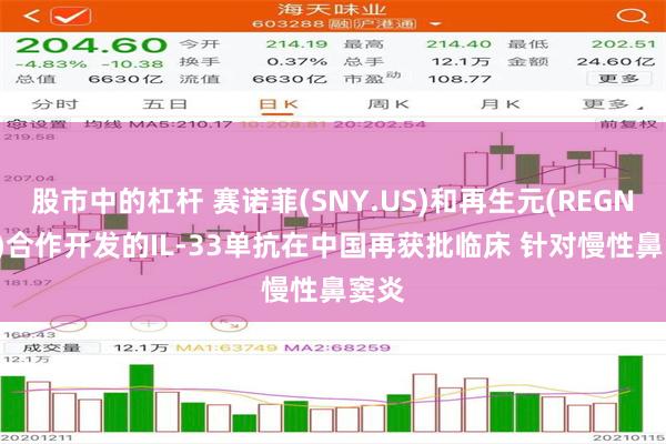 股市中的杠杆 赛诺菲(SNY.US)和再生元(REGN.US